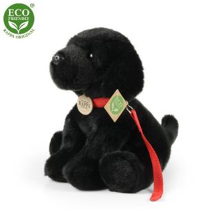 Obrázek z Labrador černý s vodítkem plyš 28cm 